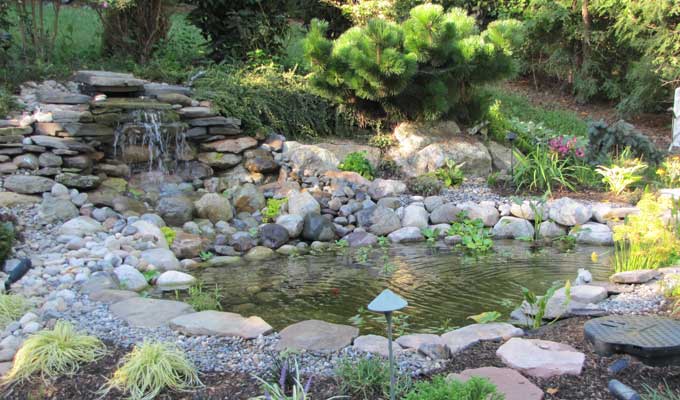 Pond and waterfall